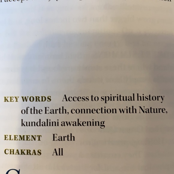 Serpentine and black calcite spear from Madagascar - Picture 5 of 5